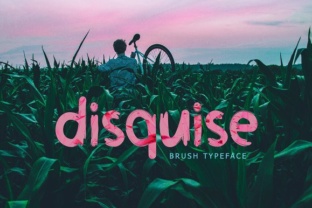 Disquise: A Handwritten Brush Font for Crafters