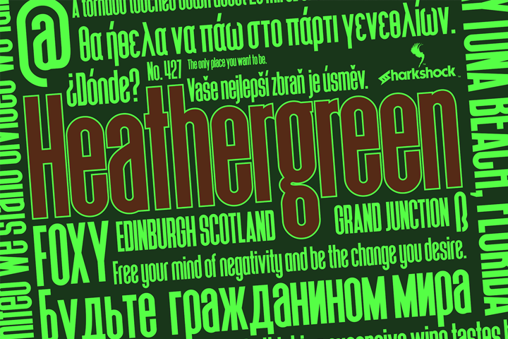 Heathergreen: A Tall Sans Serif Font for Campaigns