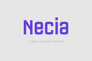 Necia Family: The Geometric Sans Serif Crafters Love