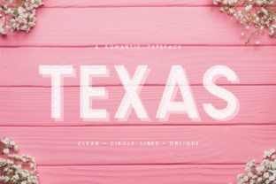 Texas a Romantic Typeface: Bold Sans Serif for Campaigns