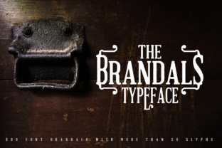 The Brandals Typeface: A Retro Serif for Bold Web Design